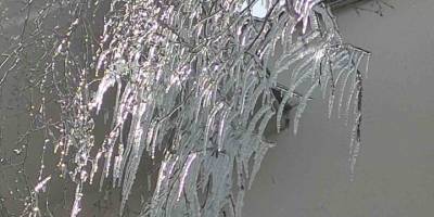 Hava Sıcaklığı Eksi 10’a Düştü, Ağaç Dalları Dondu