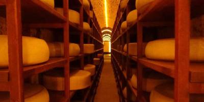 ‘Gravyer ve Kaşar’ın Hikayesi.. Kars Peynir Müzesi’nde Gerçekçi Deneyimler! 