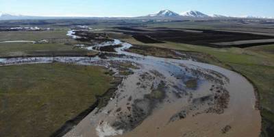 Kars Çayı Taştı.. Ağaçlar Suya Gömüldü, Meralar Etkilendi!