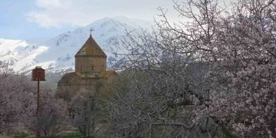 Akdamar Adası’nın Badem Ağaçları Çiçek Açtı