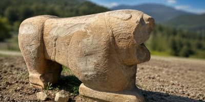 Tarihi Eser Operasyonunda Roma Dönemine Ait Aslan Heykeli Ele Geçirildi