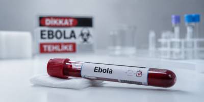 Demokratik Kongo’da Ebola Nedeniyle 2 Bin 500’den Fazla Kişi Öldü