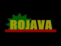 Afrin'de Türkiye Protestosu