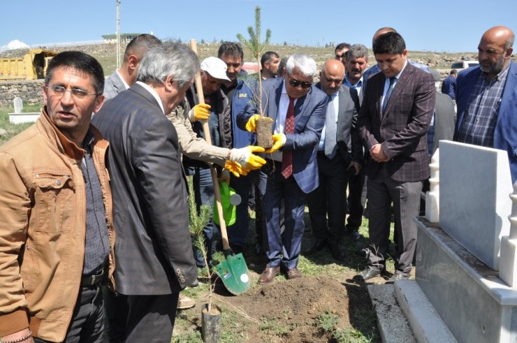 Kars Belediyesi Mezarlıkları Ağaçlandırıyor