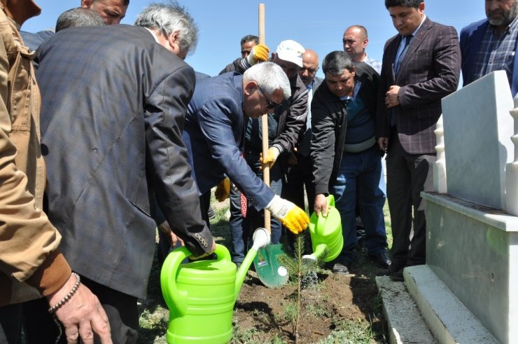Kars Belediyesi Mezarlıkları Ağaçlandırıyor