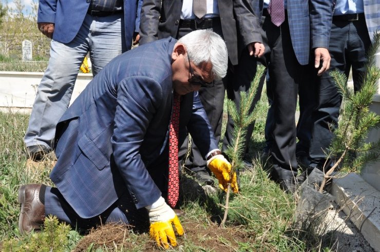 Kars Belediyesi Mezarlıkları Ağaçlandırıyor