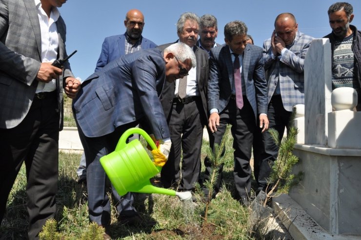 Kars Belediyesi Mezarlıkları Ağaçlandırıyor