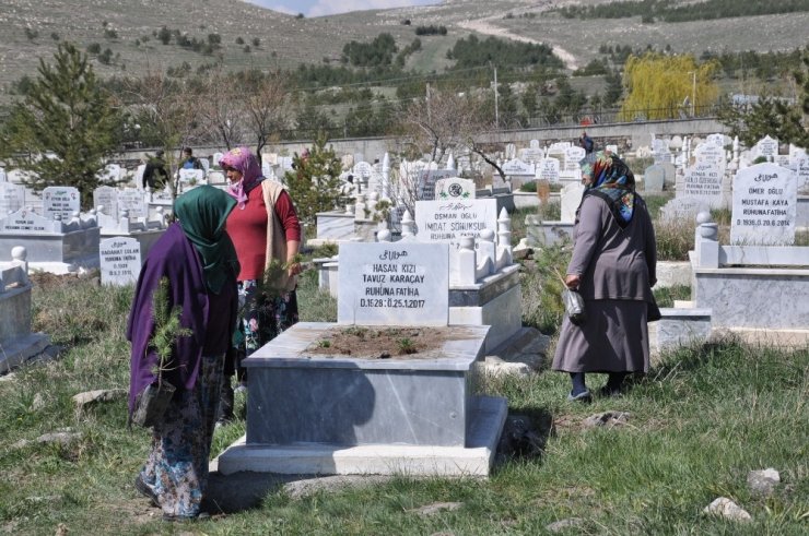 Kars Belediyesi Mezarlıkları Ağaçlandırıyor