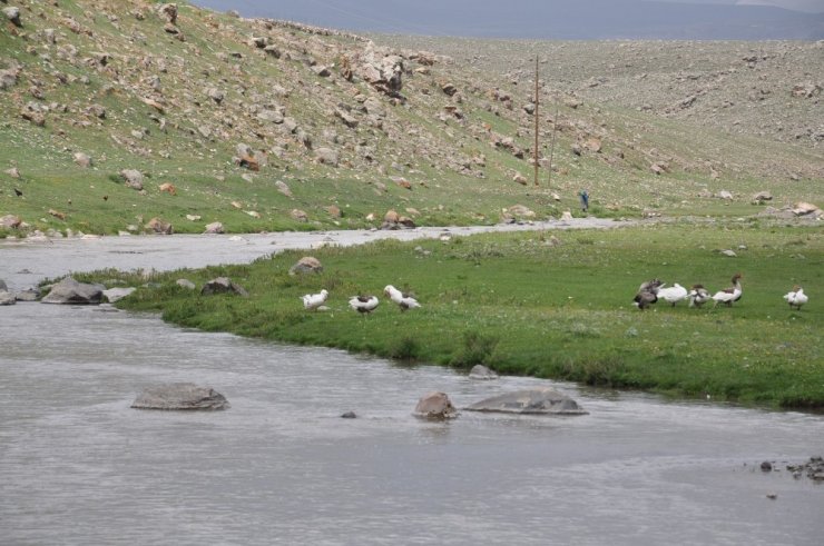 AYM Kararı: Temiz Su İnsan Hakkıdır!