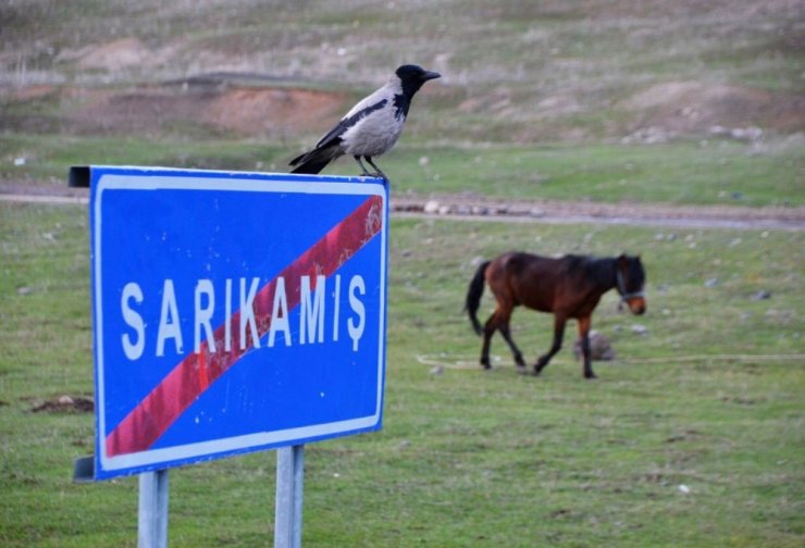 Sarıkamış’tan Eşsiz Manzaralar