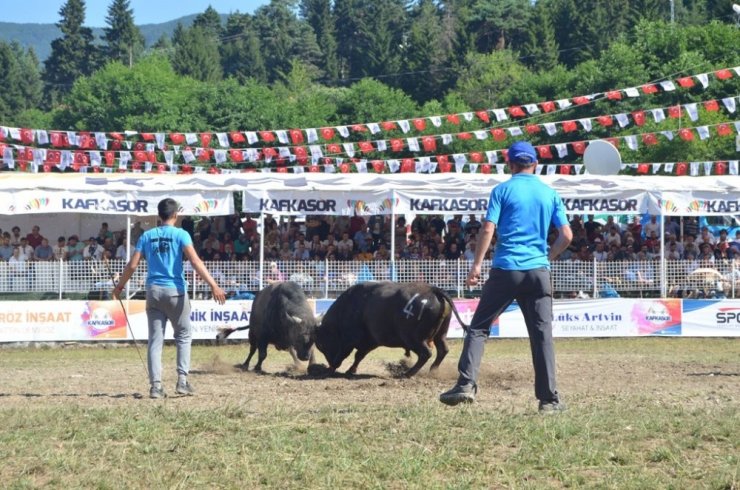 Artvin Kafkasör Festivali Başladı