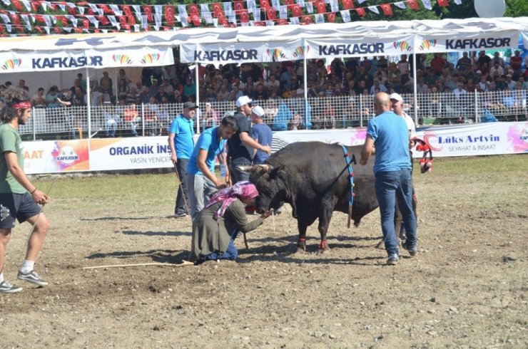 Artvin Kafkasör Festivali Başladı