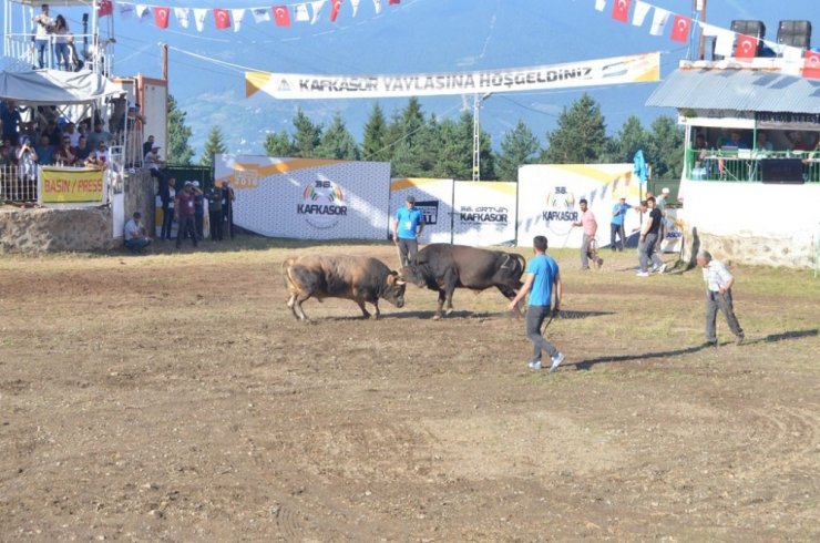 Artvin Kafkasör Festivali Başladı