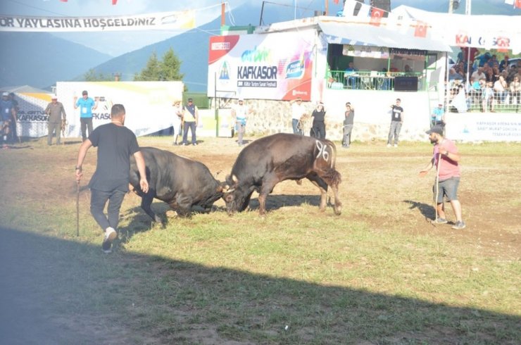 Artvin Kafkasör Festivali Başladı