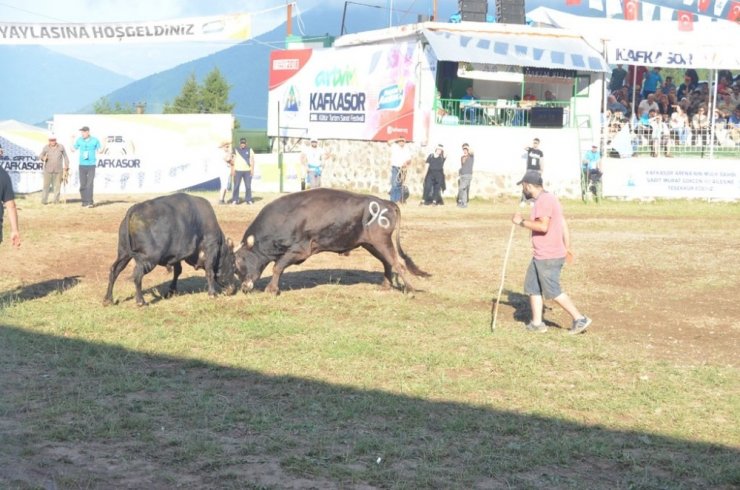 Artvin Kafkasör Festivali Başladı