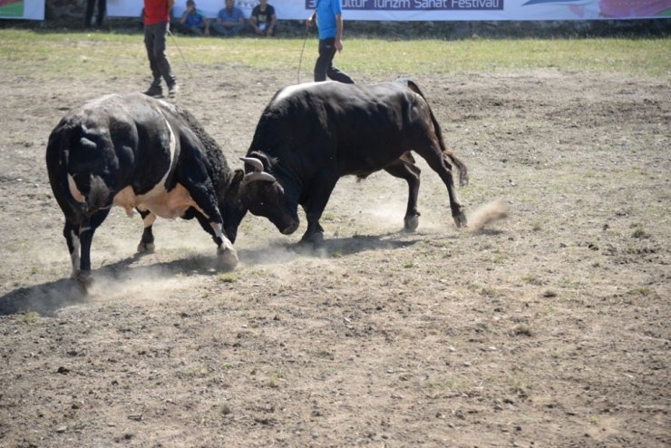 Artvin Kafkasör Festivali Başladı