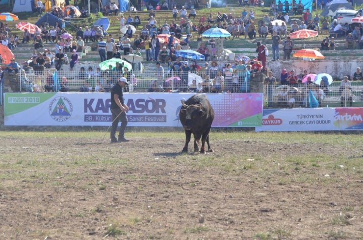 Artvin Kafkasör Festivali Başladı