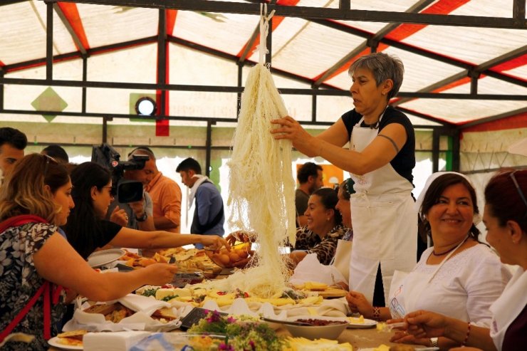 Boğatepe'de 'Anadolu Peynirleri' Fuarı