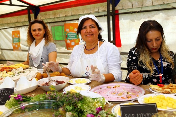 Boğatepe'de 'Anadolu Peynirleri' Fuarı