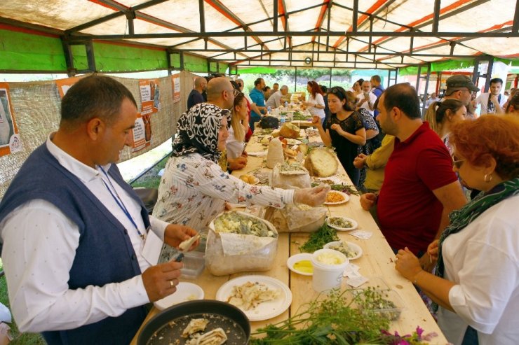 Boğatepe'de 'Anadolu Peynirleri' Fuarı