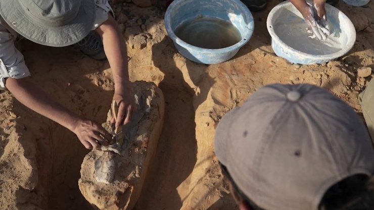 Gobi Çölü’nde 3 Yeni Dinozor Türü Bulundu