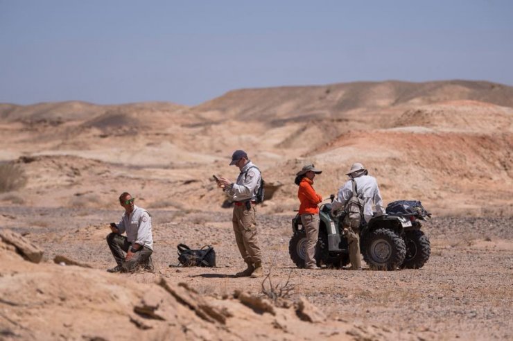 Gobi Çölü’nde 3 Yeni Dinozor Türü Bulundu