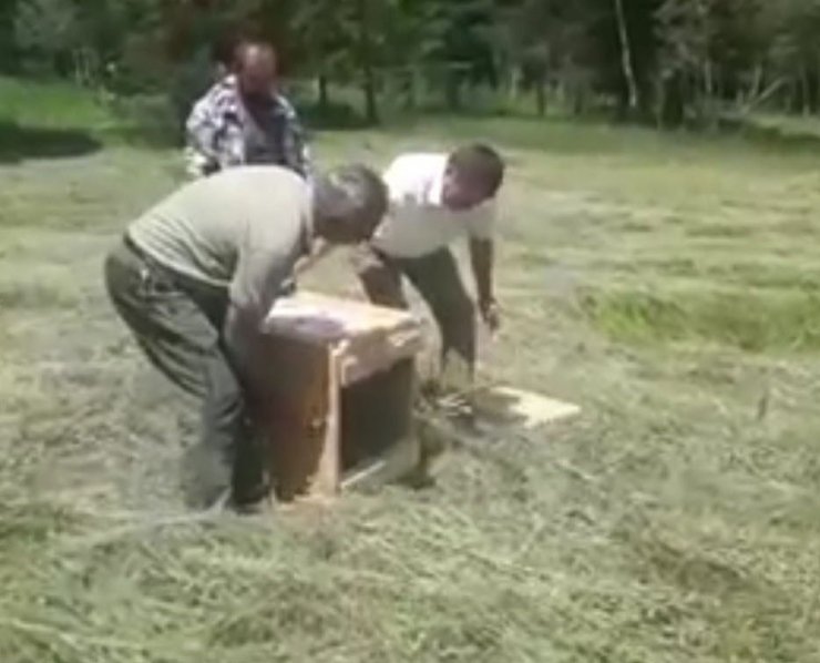 Tedavisi Biten Hayvanlar Doğaya Bırakıldı