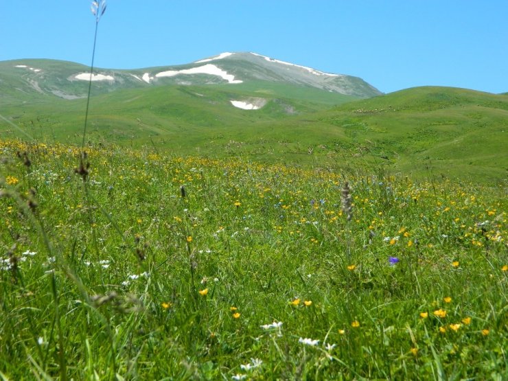 Posof'un Muhteşem Doğal Güzelliği