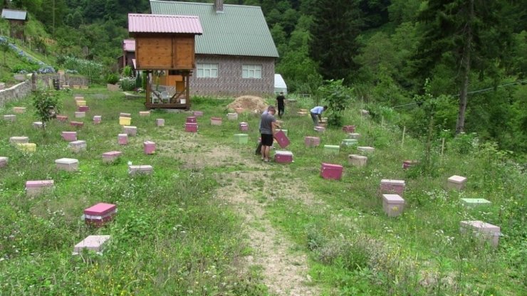 Artvin'de 'Damla Bal' Projesi