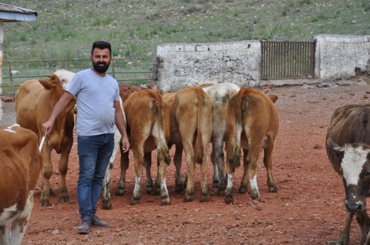 Kars’ta Kurbanlıklar Pazara İndi