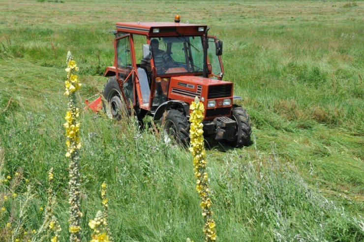 Kars’ta ‘Ot Biçimi’ Başladı