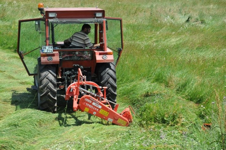 Kars’ta ‘Ot Biçimi’ Başladı