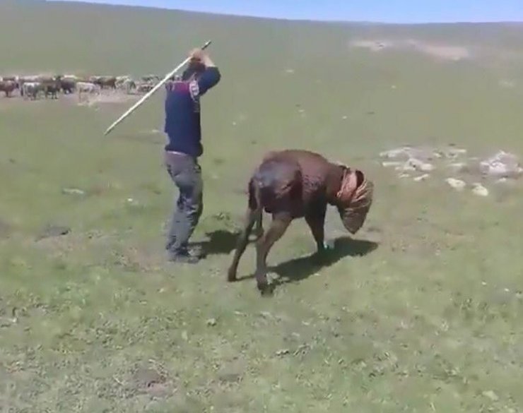 'Eşek' İşkencecilerine Tepki Yağıyor!