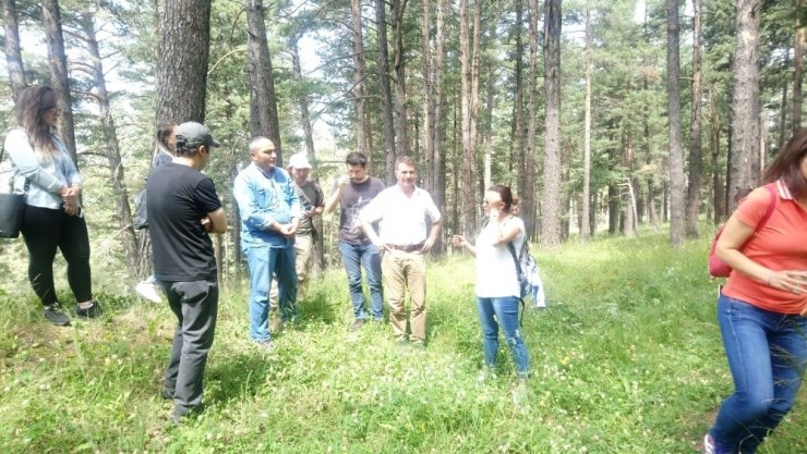 Kars’ın 'Biyolojik Çeşitlilik Envanter ve İzleme Projesi'