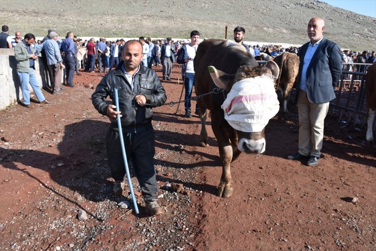 Sağlıksız Kurbanlıklara Geçit Yok