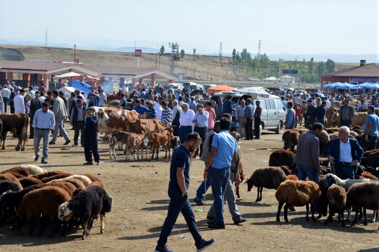 Sağlıksız Kurbanlıklara Geçit Yok