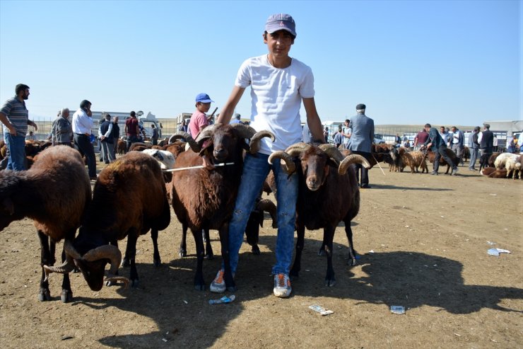 Sağlıksız Kurbanlıklara Geçit Yok