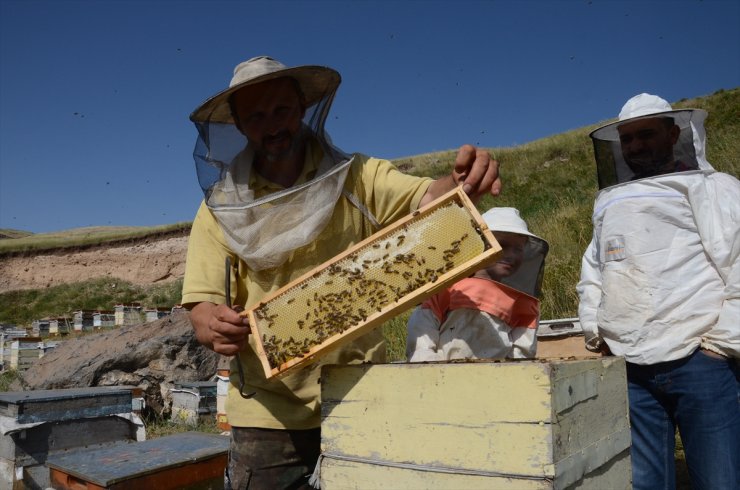 Kars'ta 'Bal Üretiminde Artış Bekleniyor