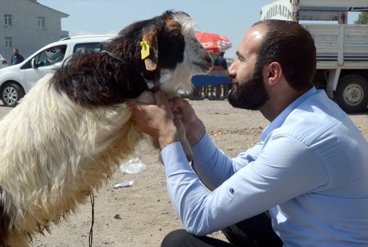 Kurbanlıklar Yola Çıktı