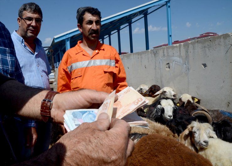 Kurbanlıklar Yola Çıktı