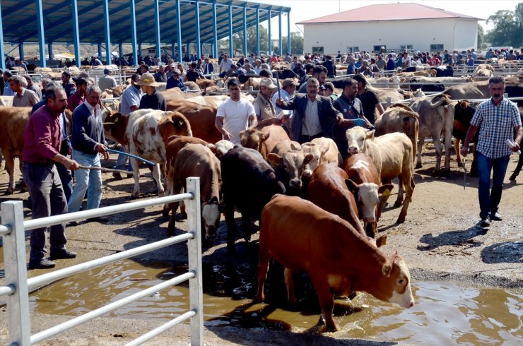 Kurbanlıklar Yola Çıktı