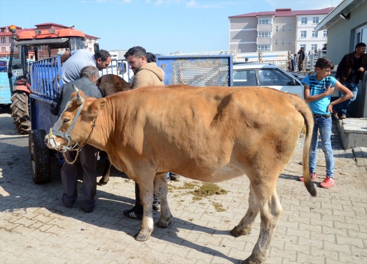 Otomobil Fiyatına Kurbanlıklar