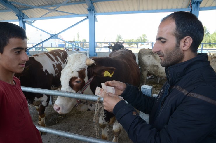 Otomobil Fiyatına Kurbanlıklar