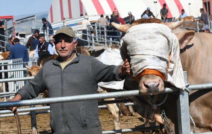 Otomobil Fiyatına Kurbanlıklar