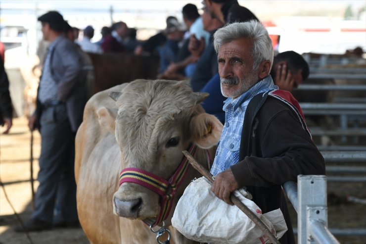 Otomobil Fiyatına Kurbanlıklar