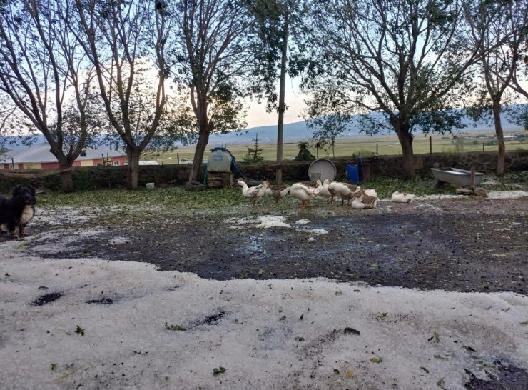 Ardahan’da Dolu Etkili Oldu