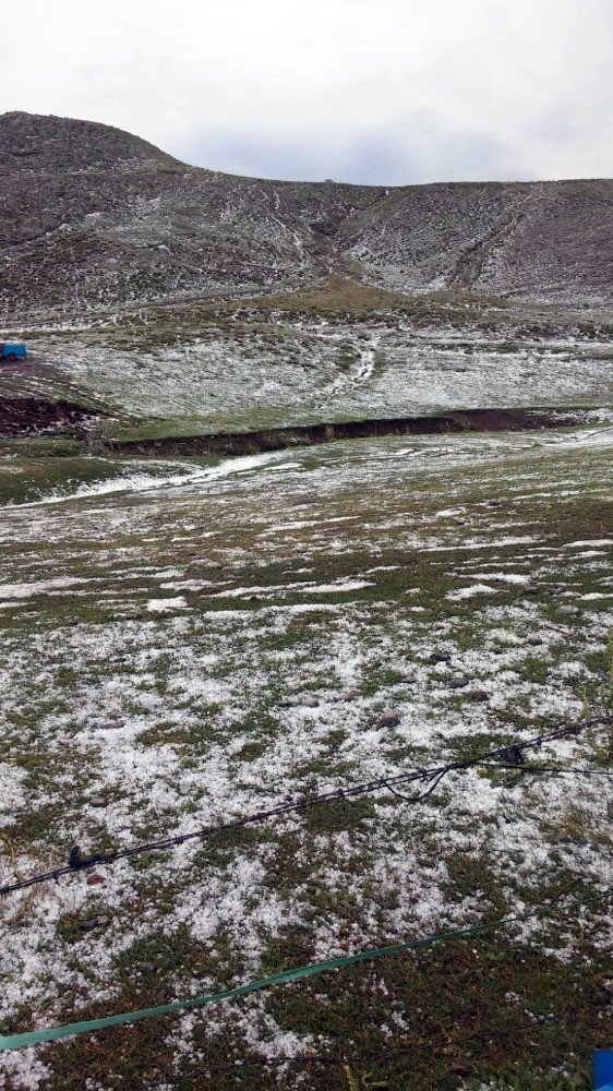 Ardahan’da Dolu Etkili Oldu