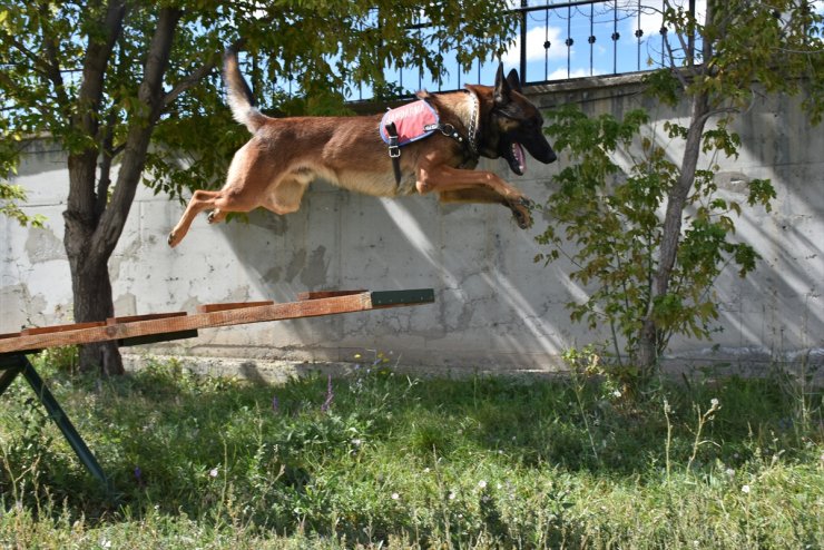 'Obur', Patlayıcılara Geçit Vermiyor