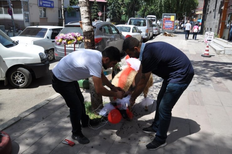 Kars’ta Gelin Koçu Geleneği