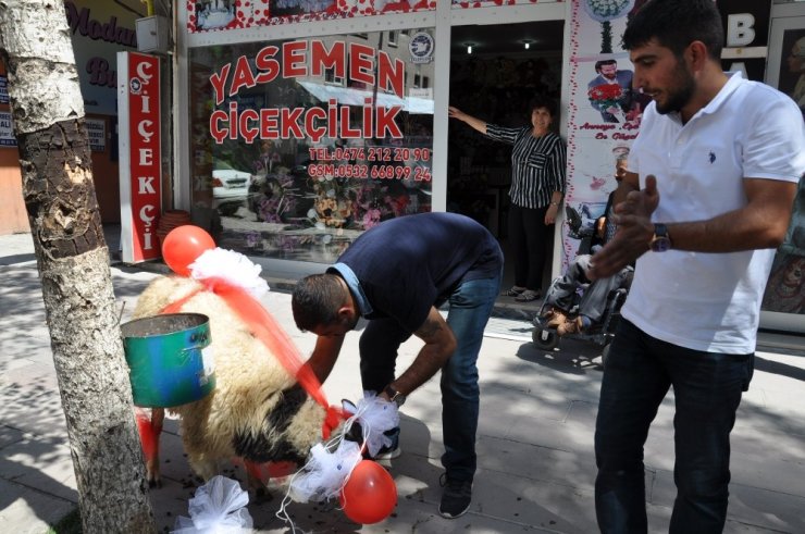 Kars’ta Gelin Koçu Geleneği